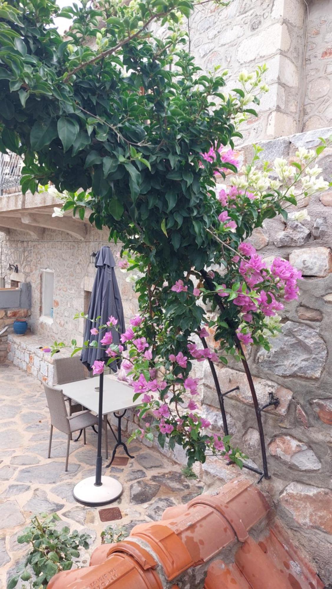 200 Year Old 'Kamara Suite' With Private Garden Pyrgos Dirou ภายนอก รูปภาพ